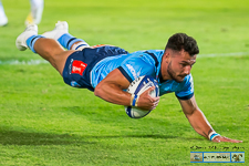 24,125 Bulls Rugby Stock Photos, High-Res Pictures, and Images